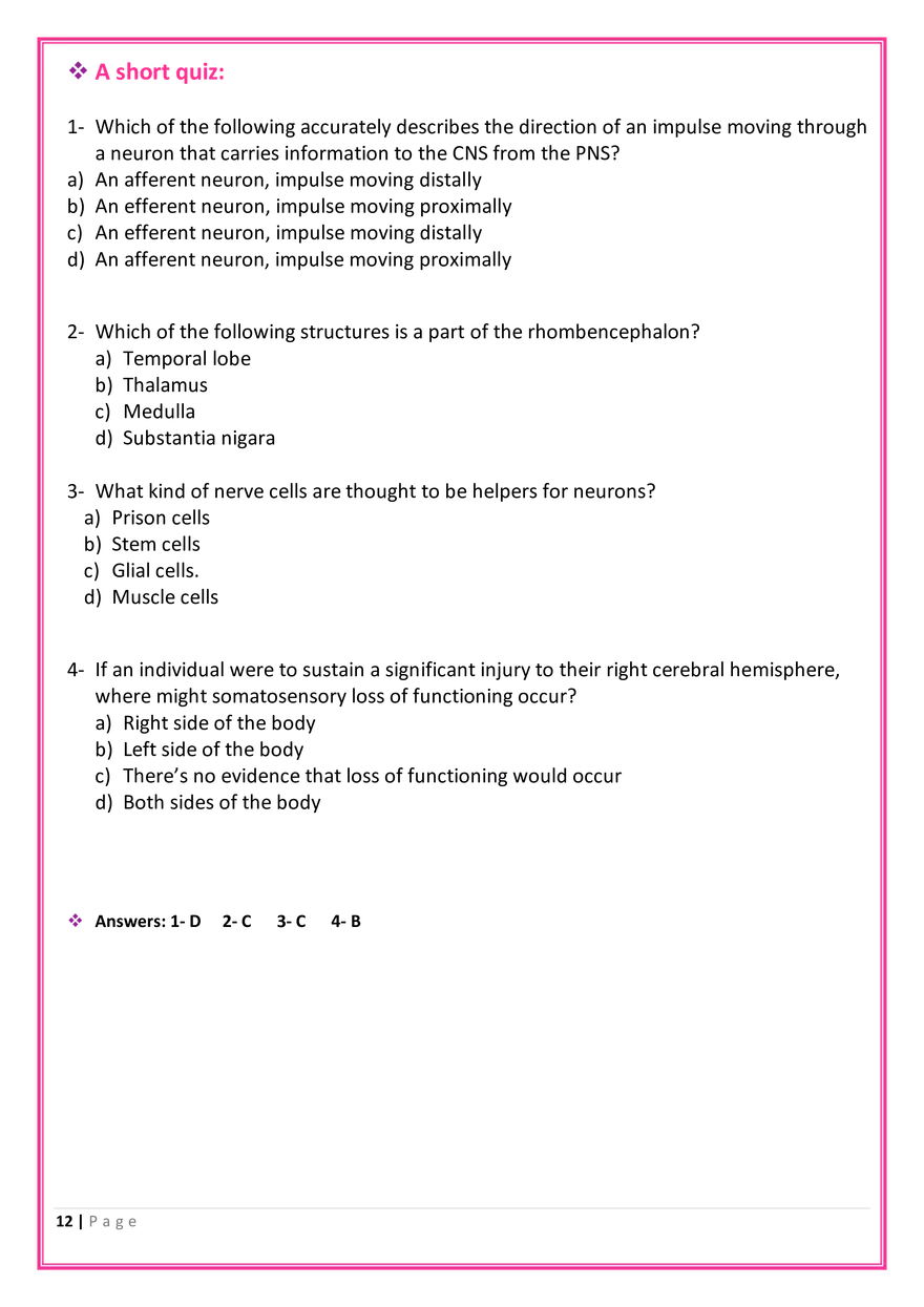 The Nervous System Anatomy - Page 4