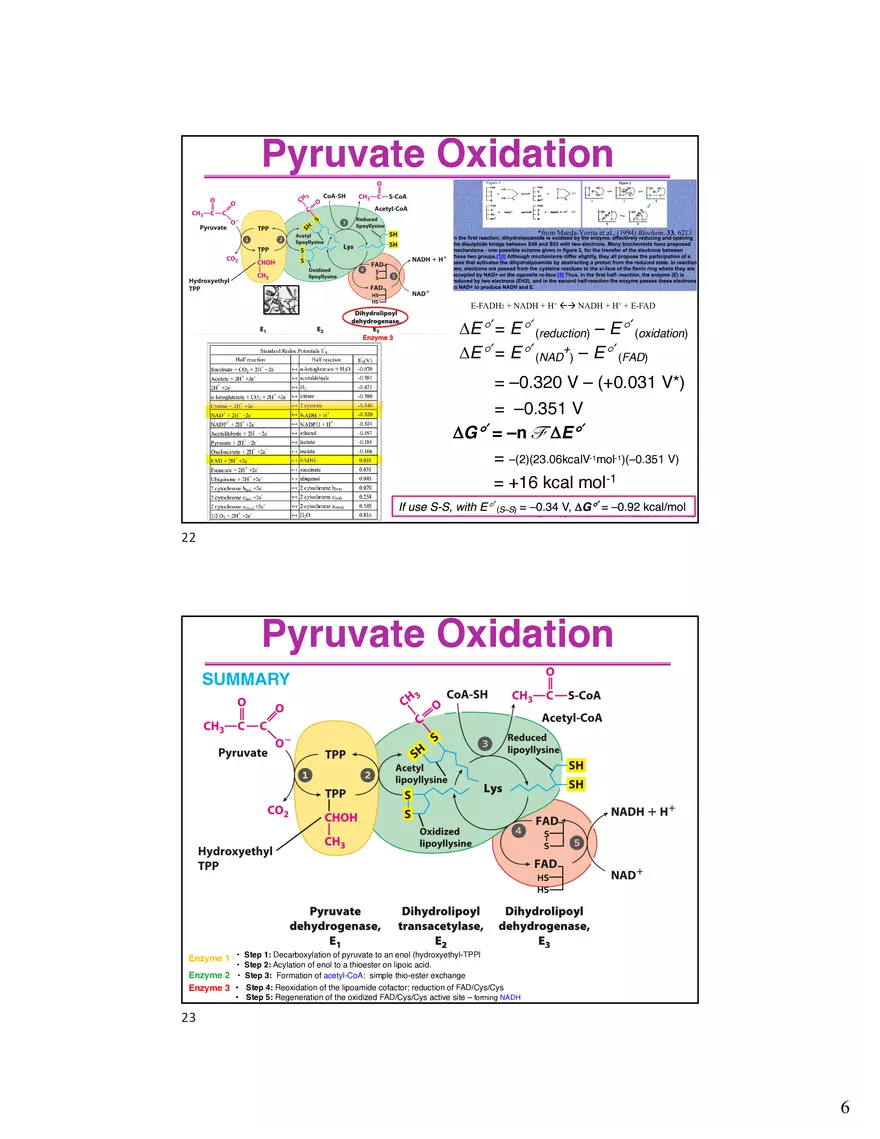 10 TCA Cycle V2026 - Page 9