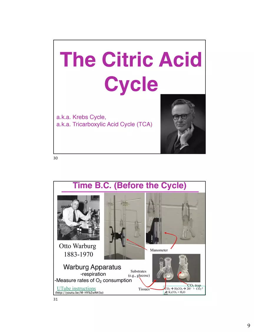10 TCA Cycle V2026 - Page 12
