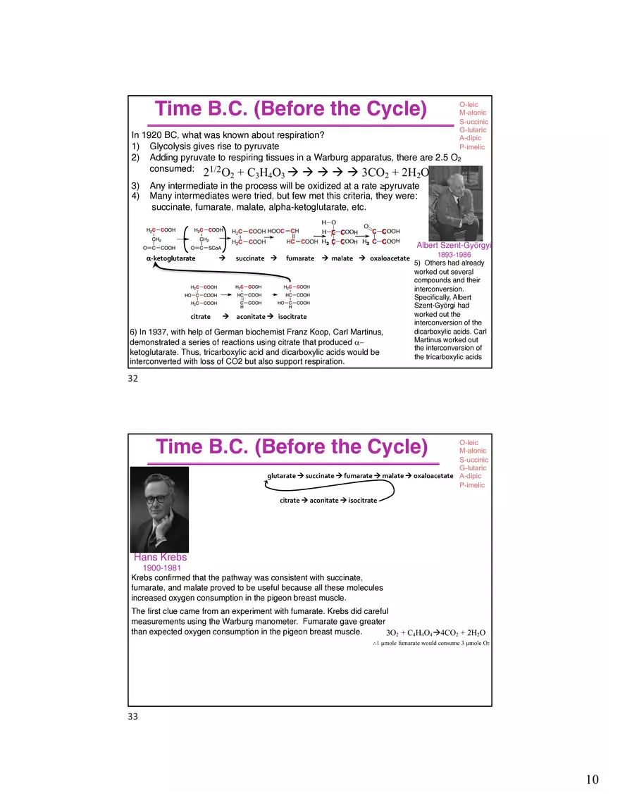 10 TCA Cycle V2026 - Page 13