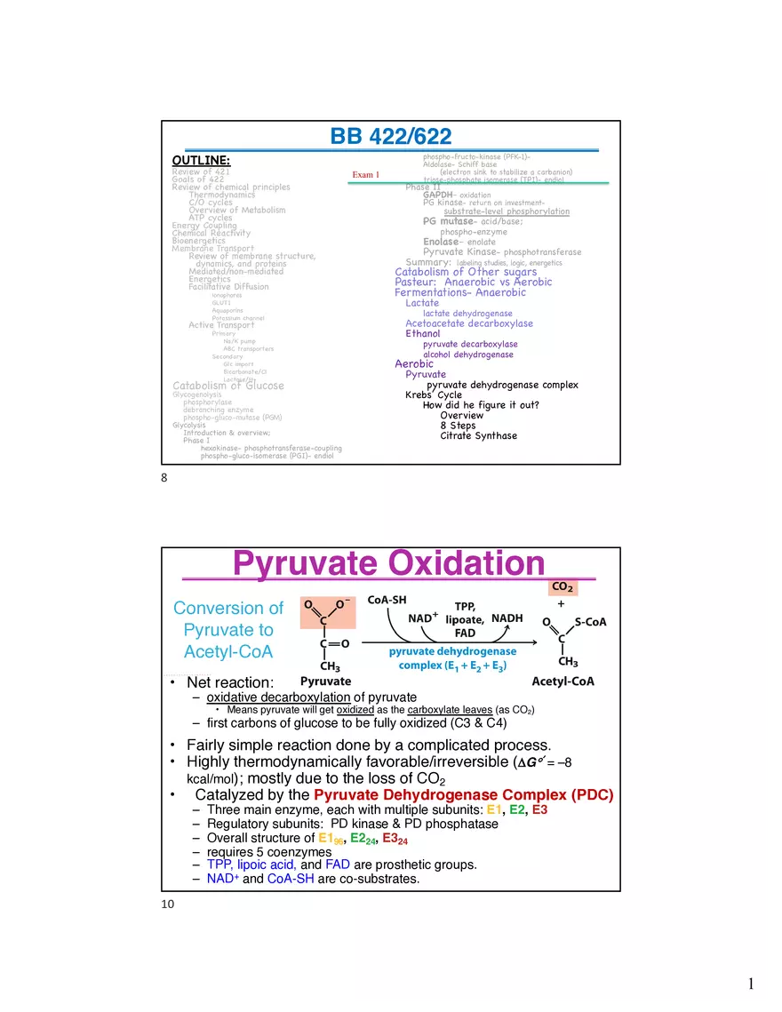 10 TCA Cycle V2026 - Page 1