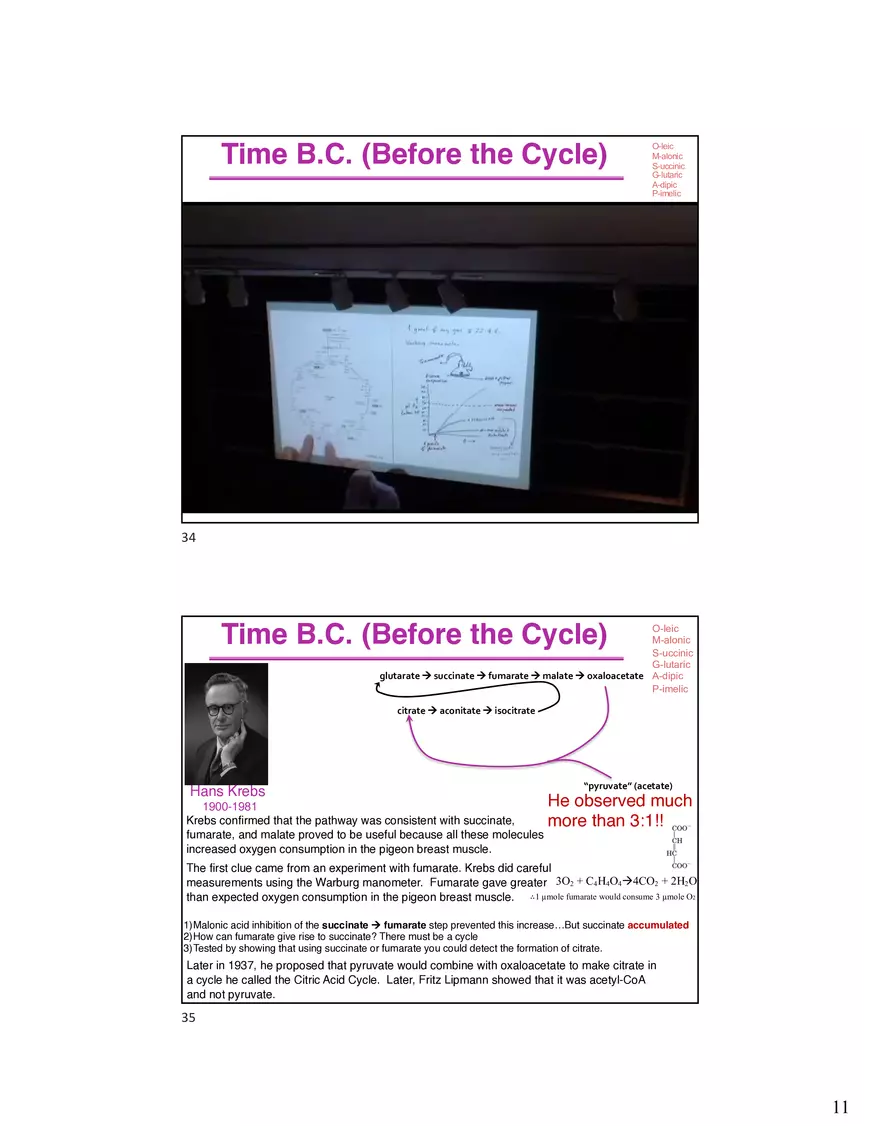 10 TCA Cycle V2026 - Page 3
