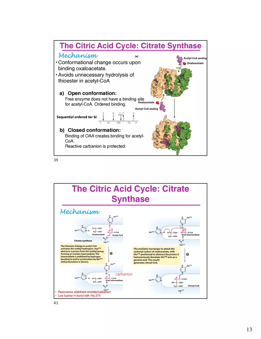 10 TCA Cycle V2026 - Page 5