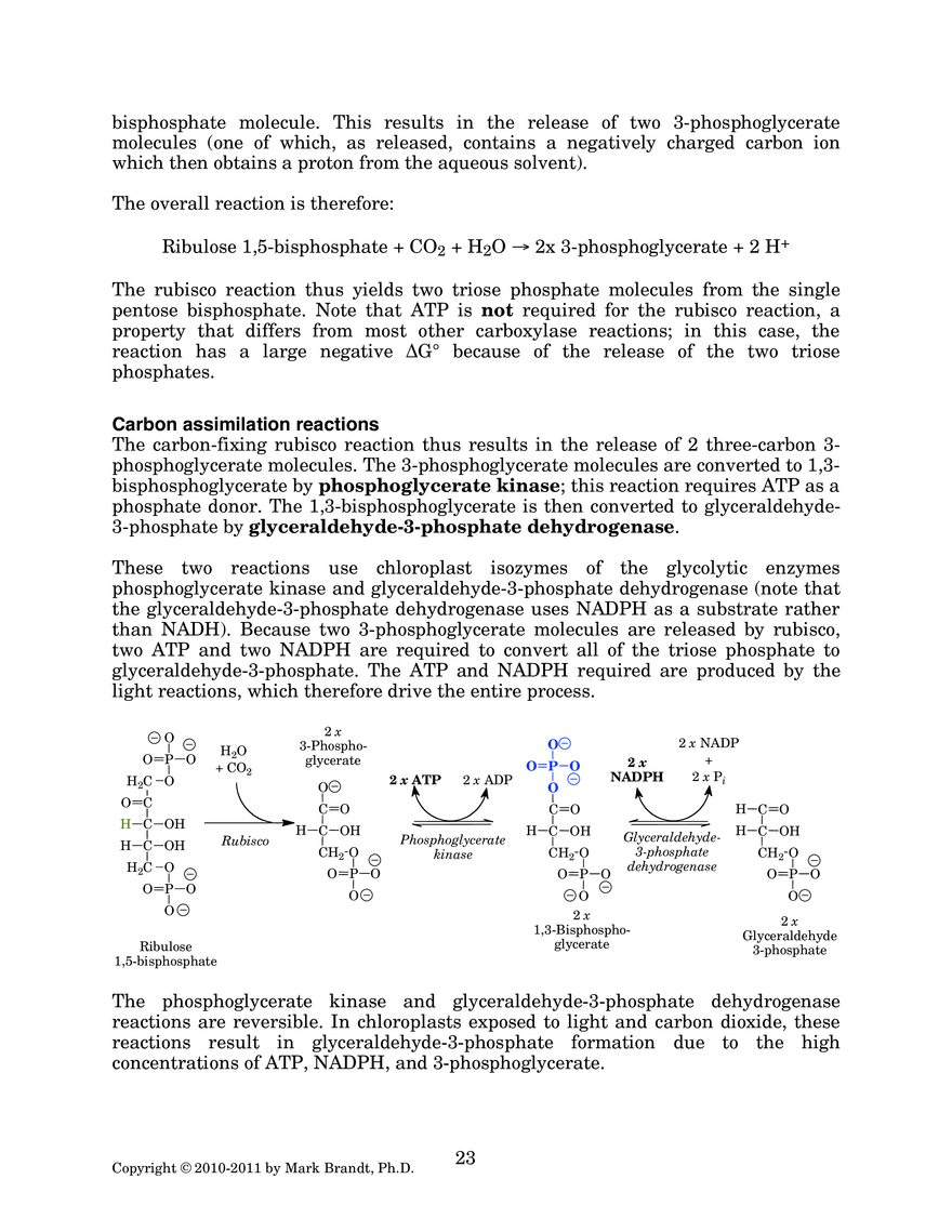 Photosynthesis: Carbon Assimilation Processes - Page 8