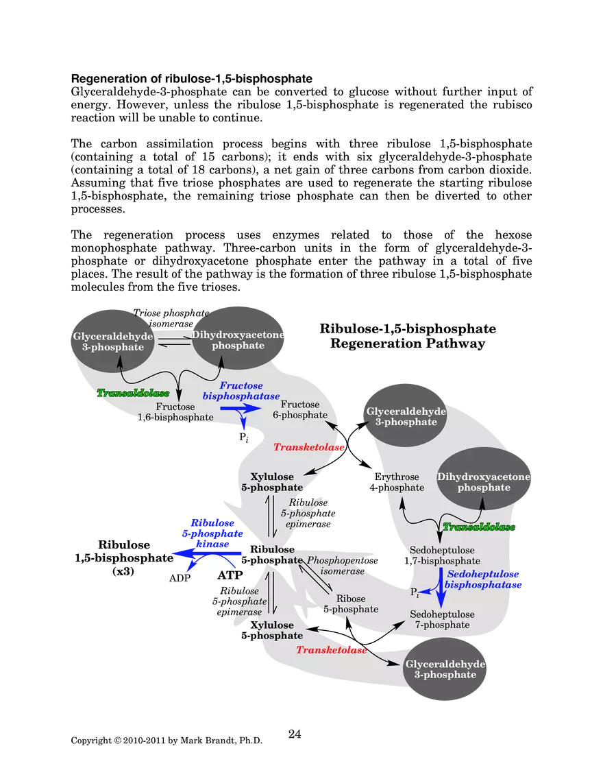 Photosynthesis: Carbon Assimilation Processes - Page 9