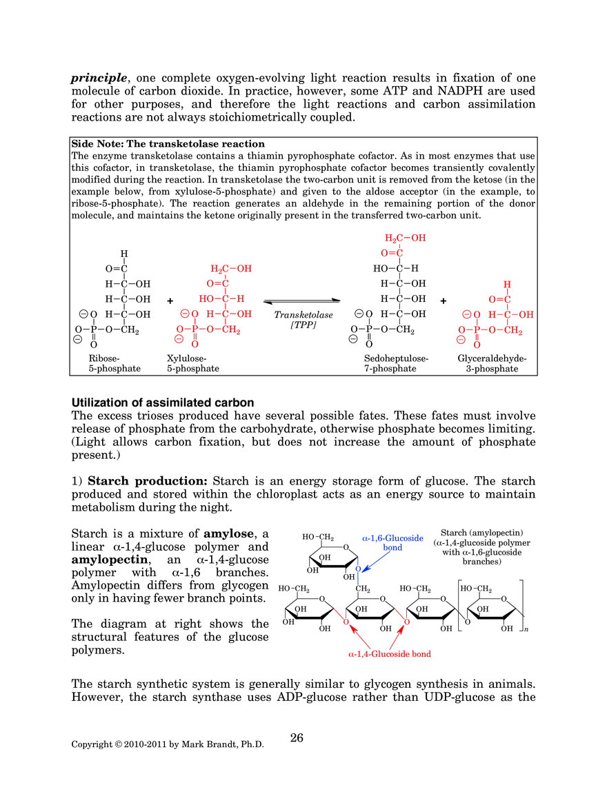 Photosynthesis: Carbon Assimilation Processes - Page 11