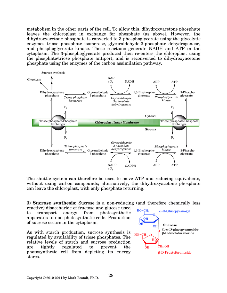 Photosynthesis: Carbon Assimilation Processes - Page 13