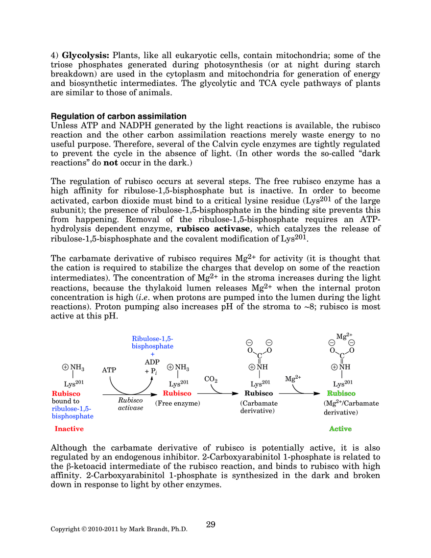 Photosynthesis: Carbon Assimilation Processes - Page 14