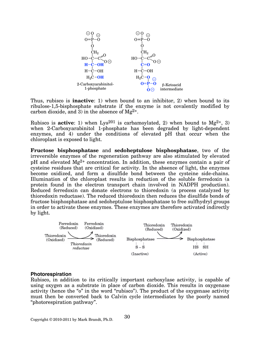 Photosynthesis: Carbon Assimilation Processes - Page 15