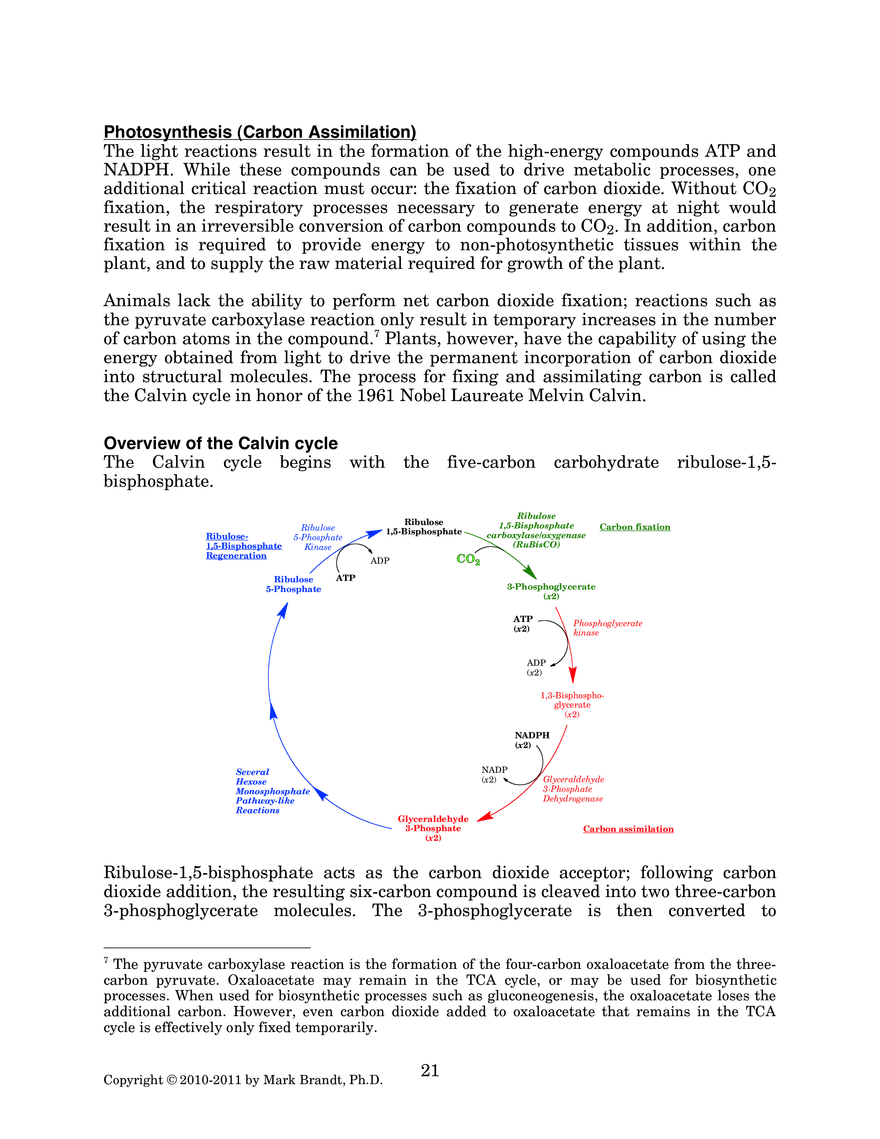 Photosynthesis: Carbon Assimilation Processes - Page 1
