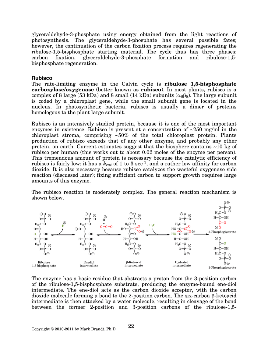 Photosynthesis: Carbon Assimilation Processes - Page 2
