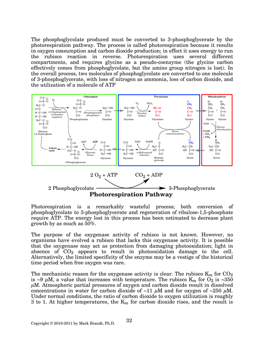Photosynthesis: Carbon Assimilation Processes - Page 4