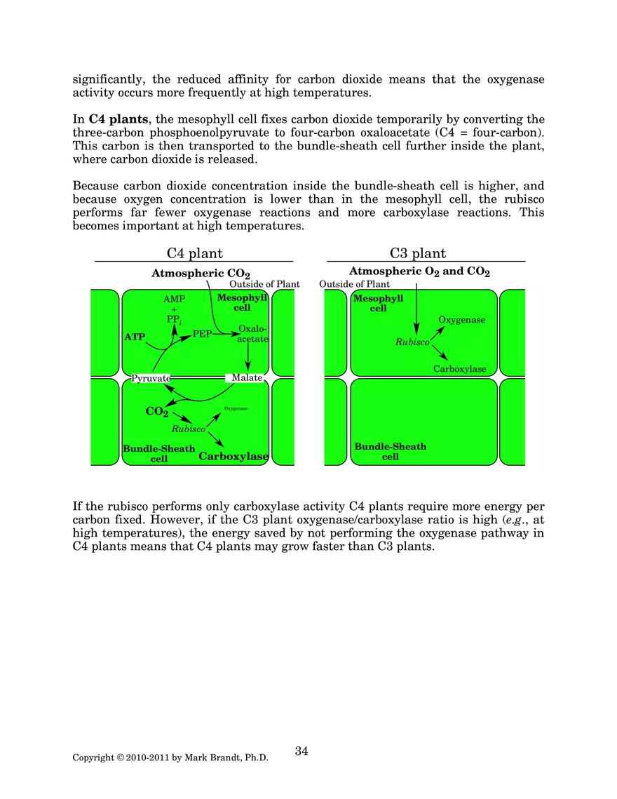 Photosynthesis: Carbon Assimilation Processes - Page 6