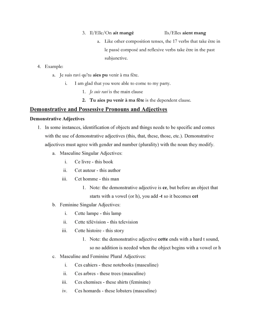 French IV Study Guide Section 1 Grammar - Page 9