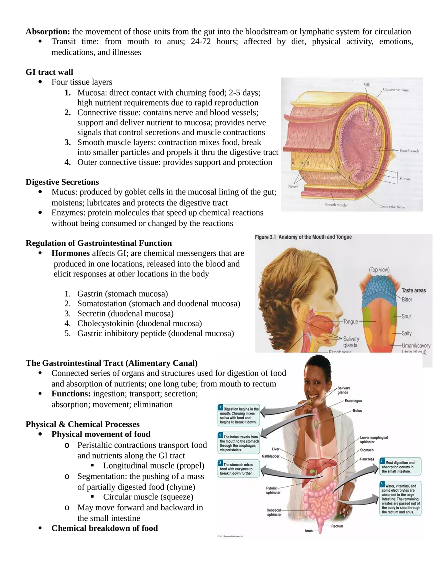 HS201 Exam One Notes - Page 14
