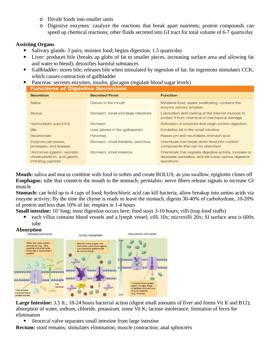 HS201 Exam One Notes - Page 15