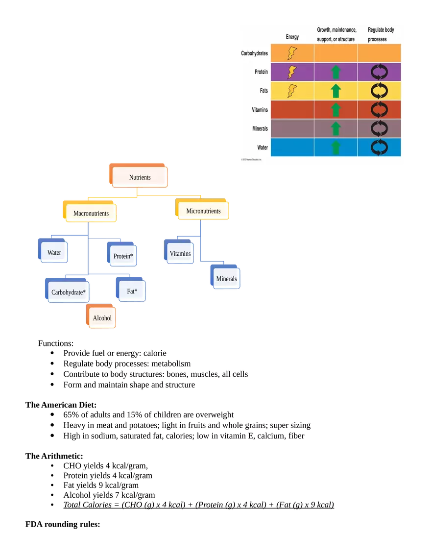 HS201 Exam One Notes - Page 2