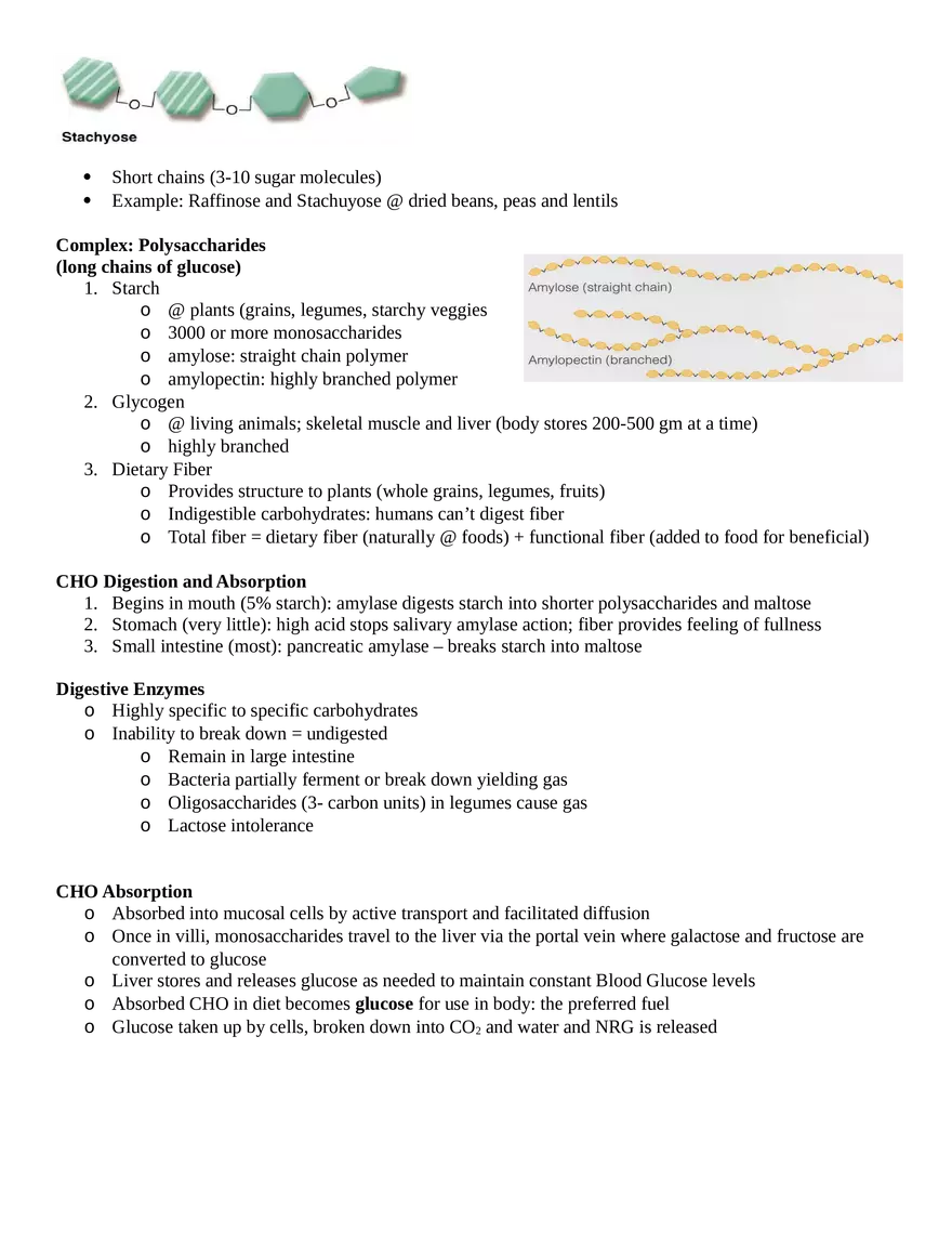 HS201 Exam One Notes - Page 3