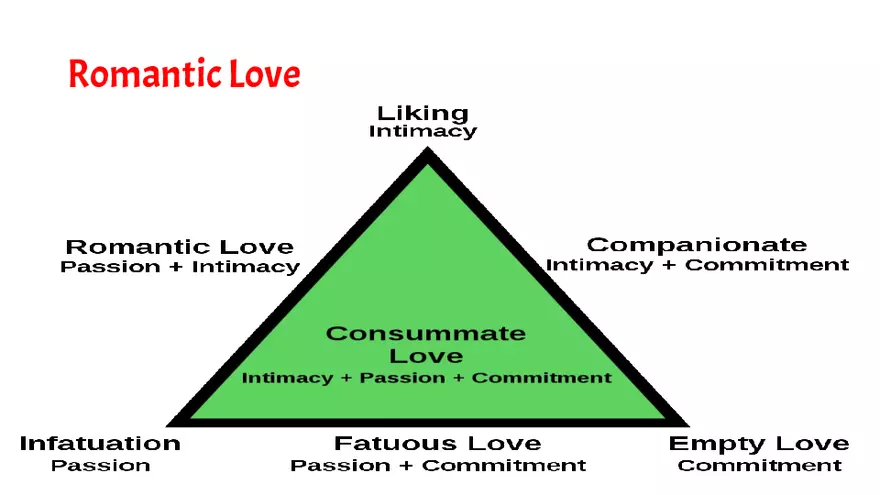 Social Psychology Streamlined Attributions - Page 12