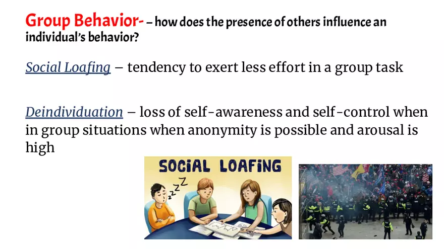 Social Psychology Streamlined Attributions - Page 23