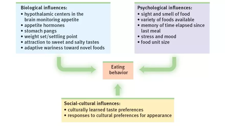 Unit 4 Social Psych & Personality 2025 - Page 102