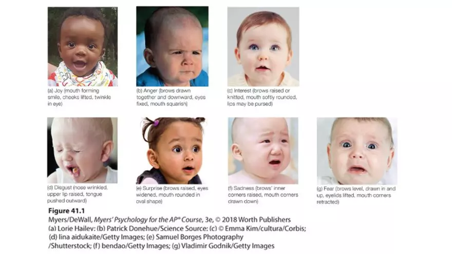 Unit 4 Social Psych & Personality 2025 - Page 6