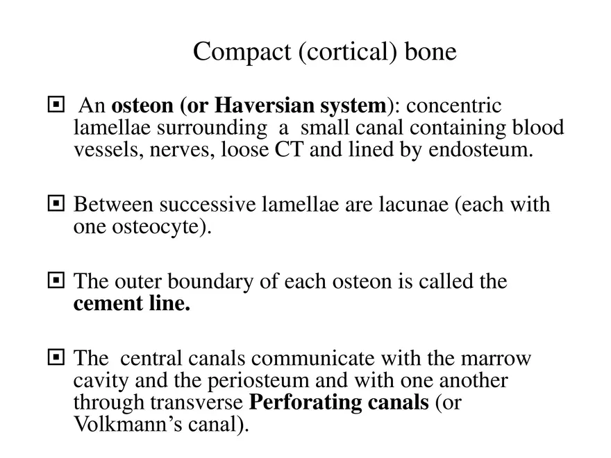 Bone Tissue - Page 12