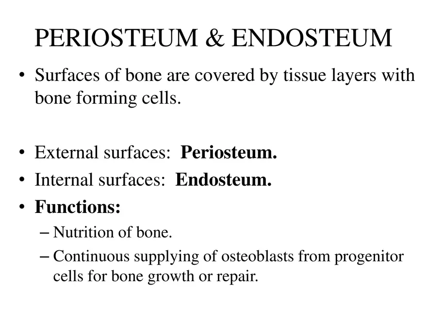 Bone Tissue - Page 30