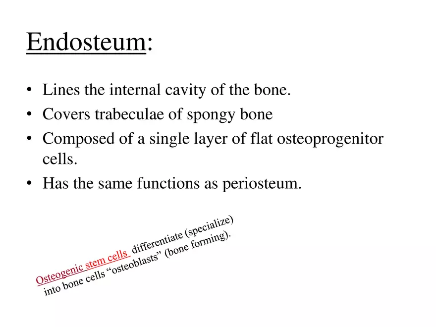 Bone Tissue - Page 31