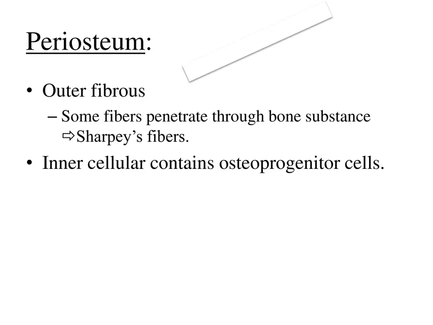 Bone Tissue - Page 32