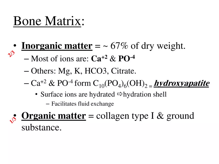 Bone Tissue - Page 34