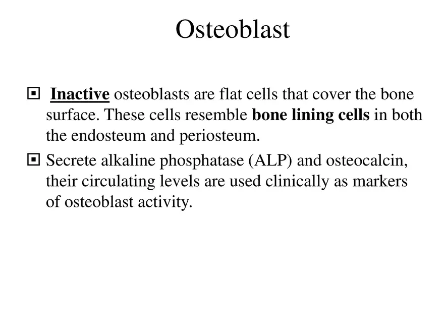 Bone Tissue - Page 44