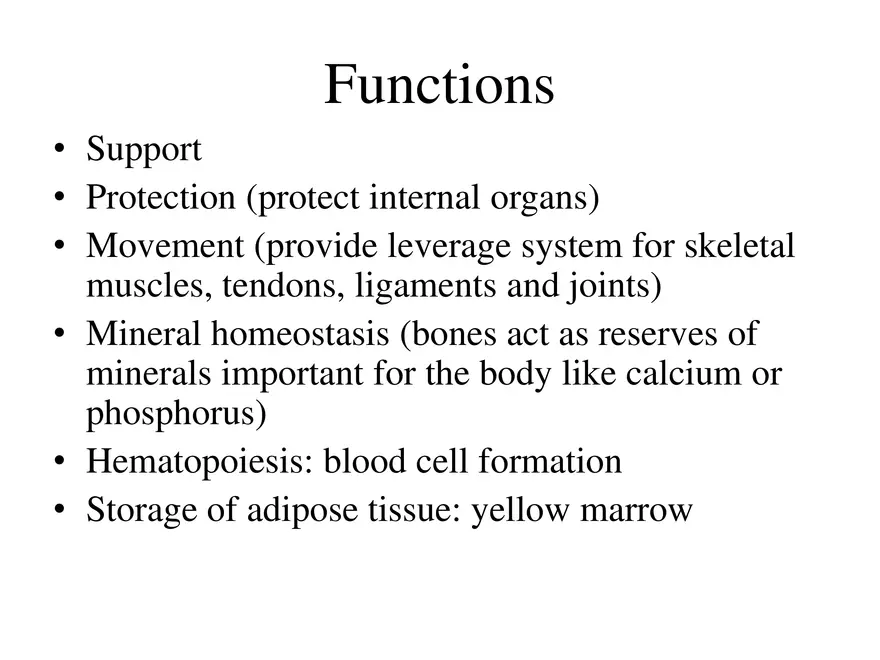 Bone Tissue - Page 2
