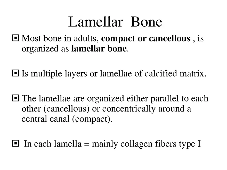 Bone Tissue - Page 61