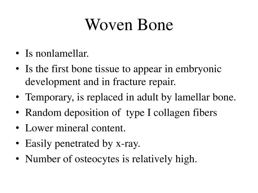 Bone Tissue - Page 62