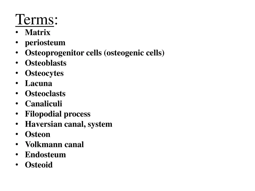 Bone Tissue - Page 64