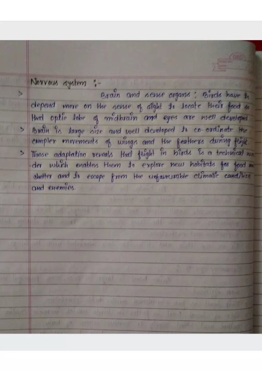 Assignment: - 1 General Characters - Page 7