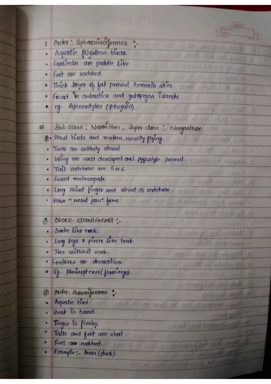 Assignment: - 1 General Characters - Page 13