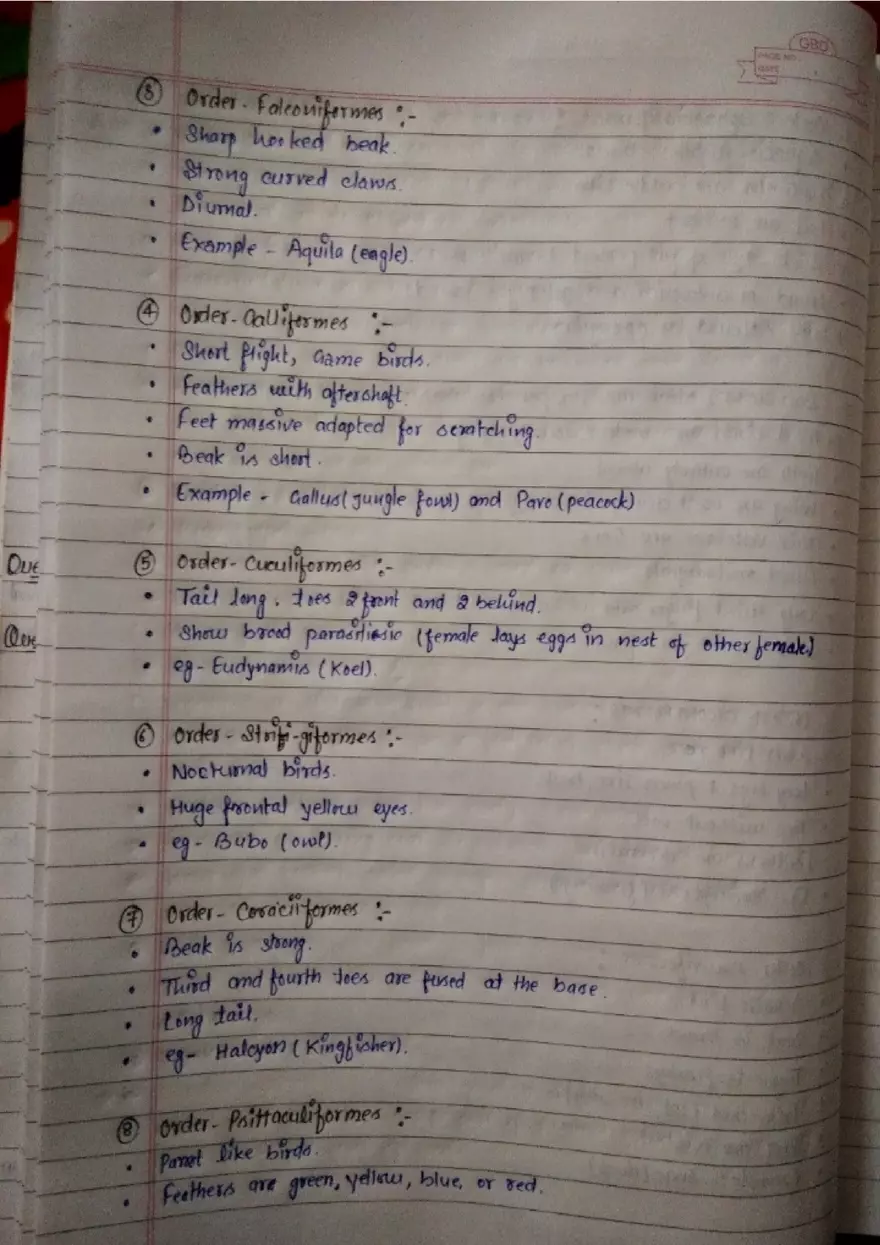 Assignment: - 1 General Characters - Page 14