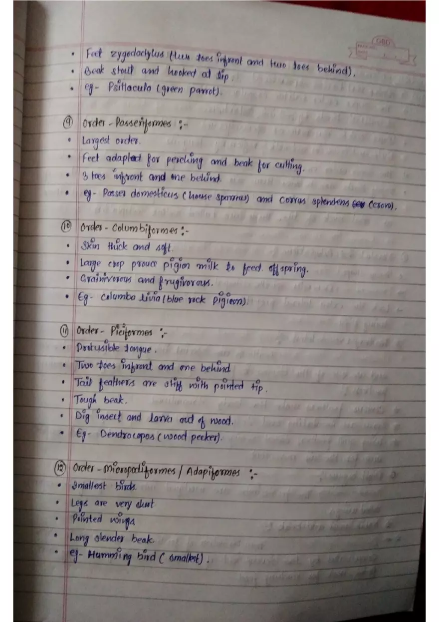 Assignment: - 1 General Characters - Page 15