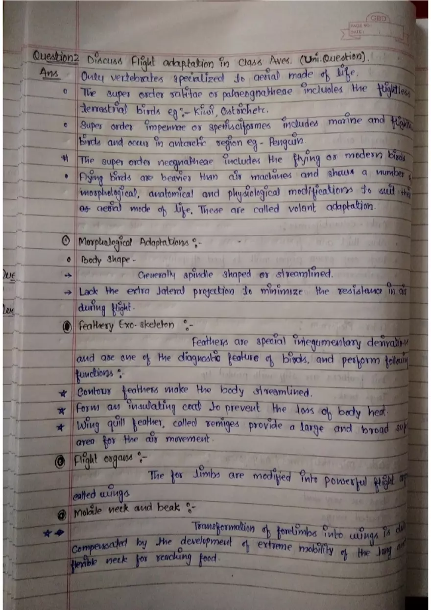 Assignment: - 1 General Characters - Page 3