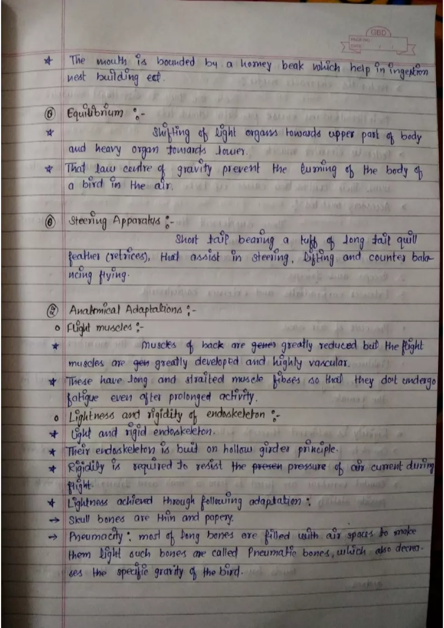 Assignment: - 1 General Characters - Page 4