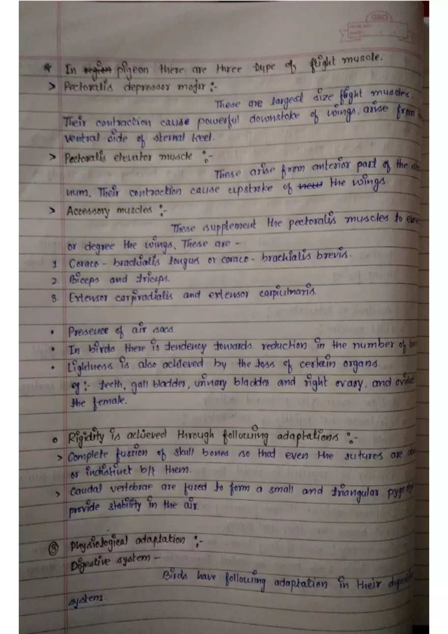 Assignment: - 1 General Characters - Page 5