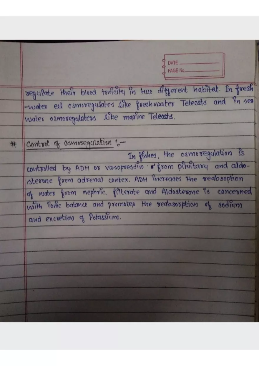Assignment 3: Bony Fish - Page 7