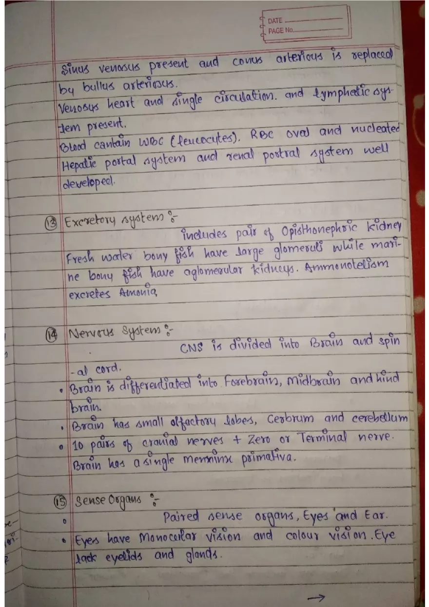 Assignment 3: Bony Fish - Page 10