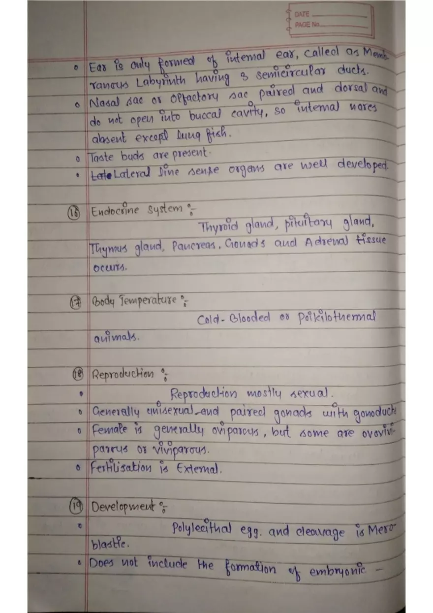 Assignment 3: Bony Fish - Page 11