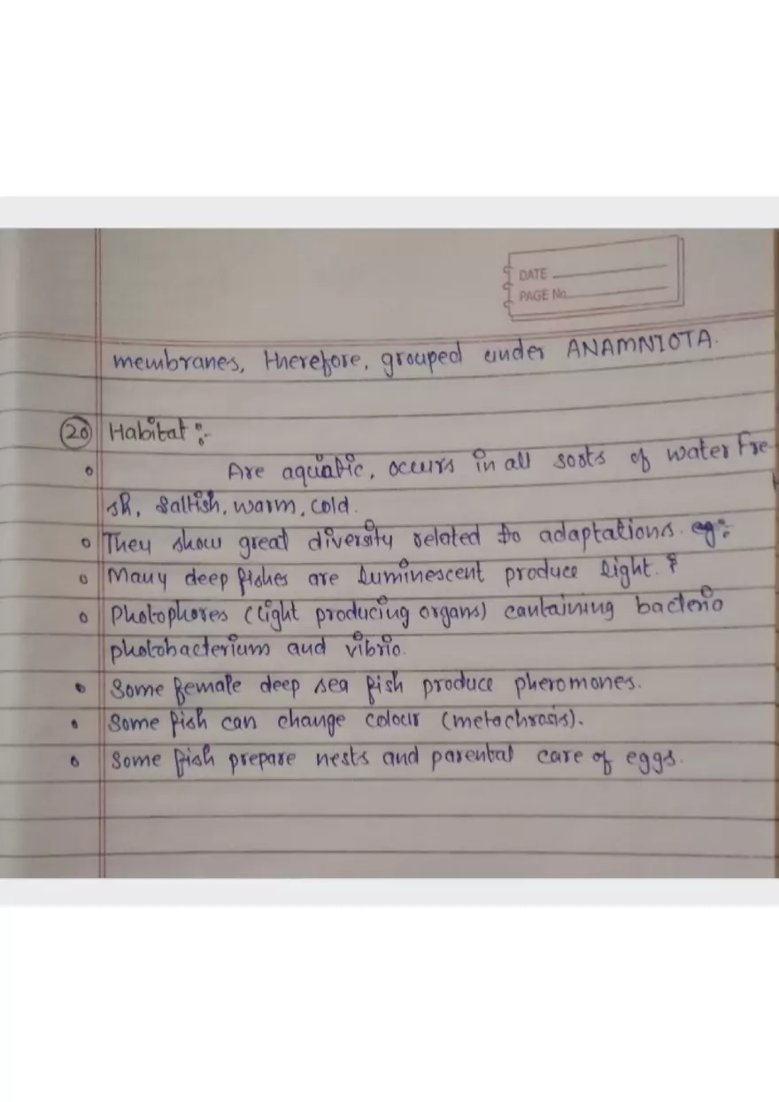 Assignment 3: Bony Fish - Page 12