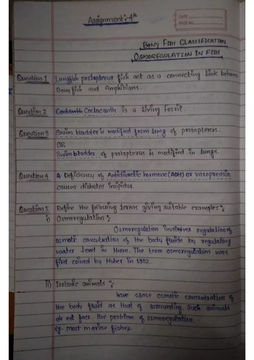 Assignment 3: Bony Fish - Page 13