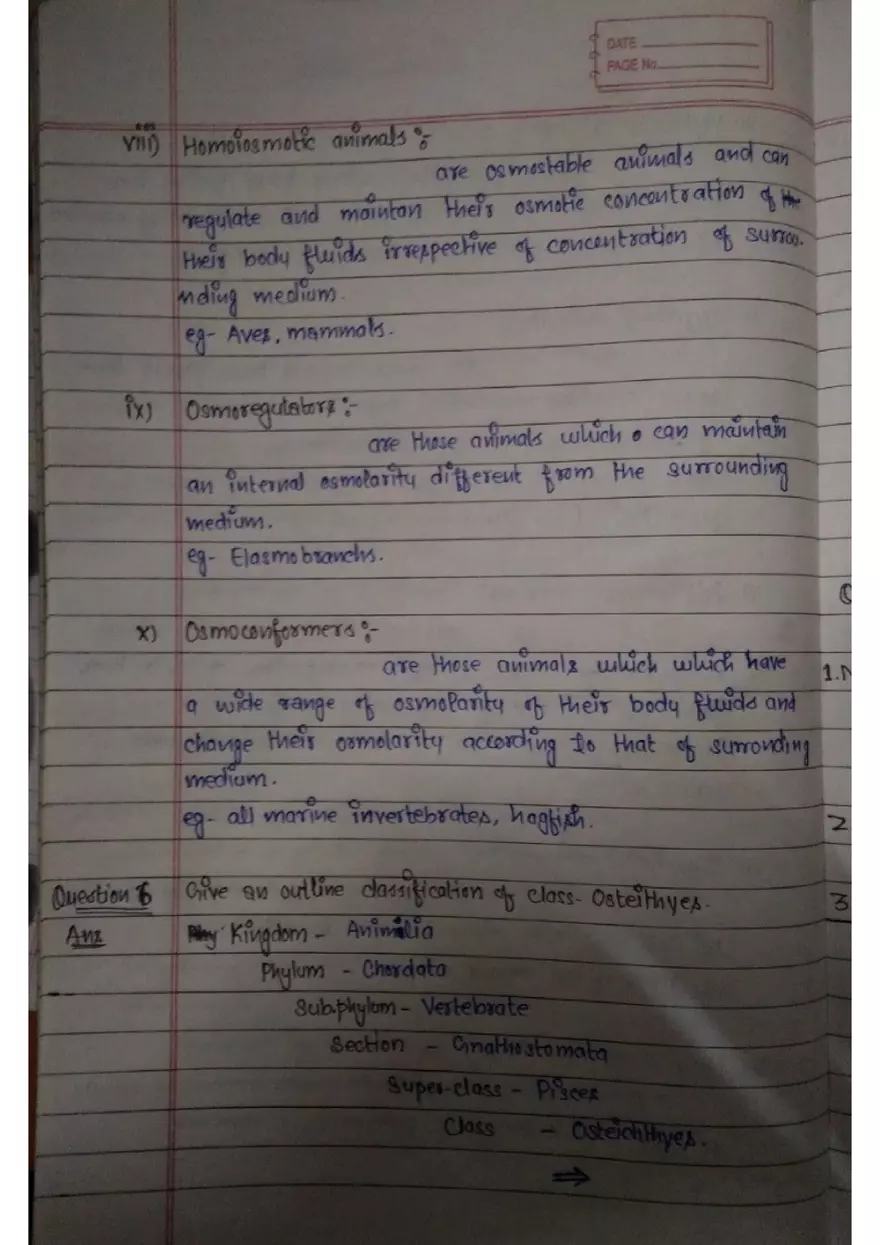 Assignment 3: Bony Fish - Page 15