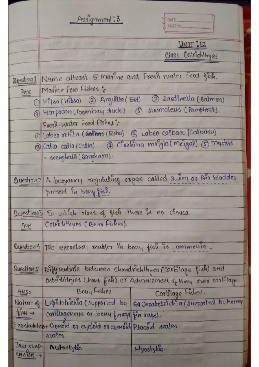 Assignment 3: Bony Fish - Page 1